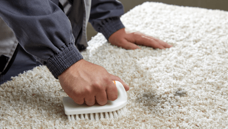 Professional Rug Cleaning Crib Point