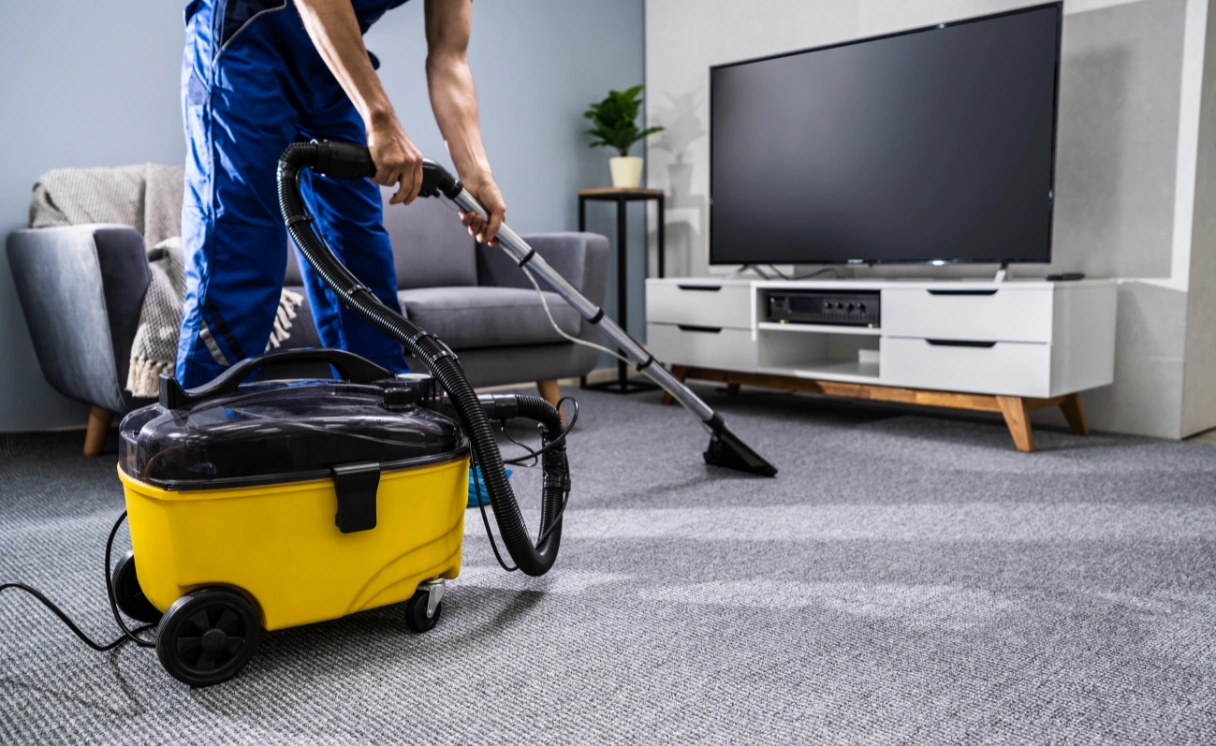 Extract Rug Cleaning Crib Point Contact Office